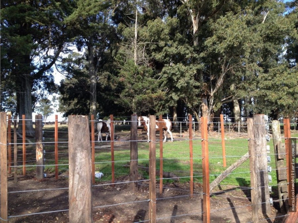 Campo de 100 ha