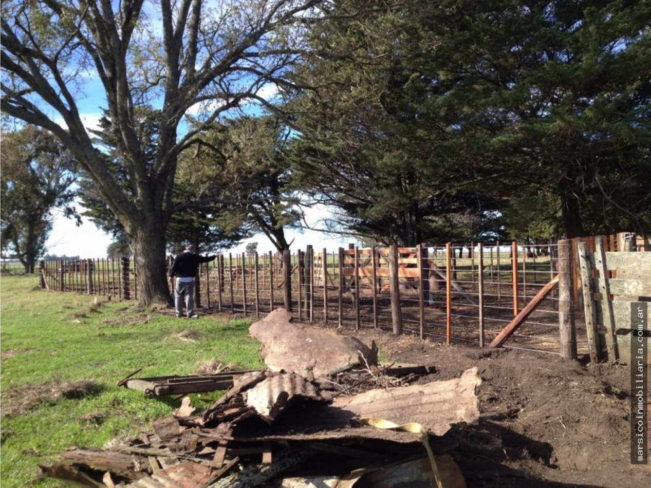 Campo de 100 ha