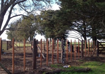 Campo de 100 ha